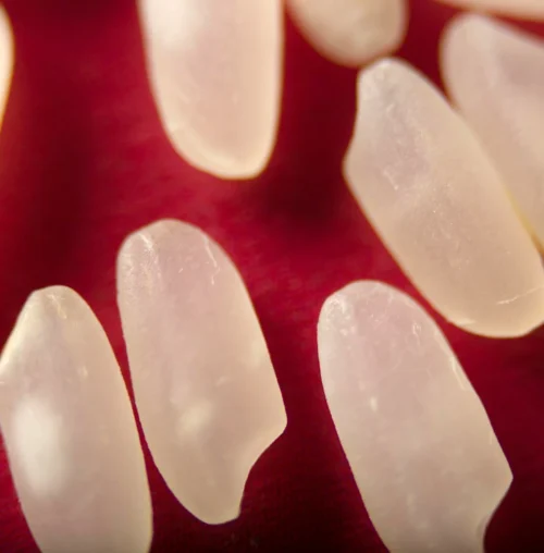 Resin-Facets-new